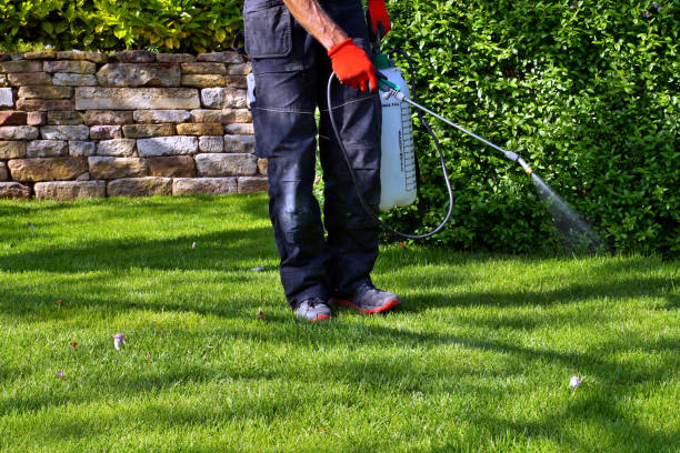 Best Commercial Pest Control  in Manhasset, NY